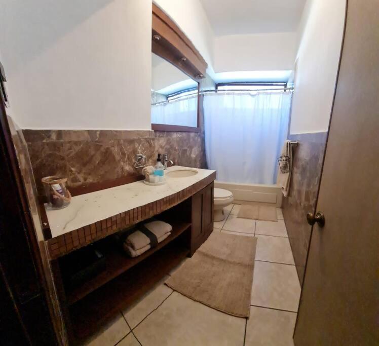 Alquiler apartamento zona viva photo 3