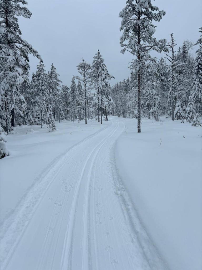 Rämsbyns Fritidsområde - Den perfekta platsen för avkoppling photo 3