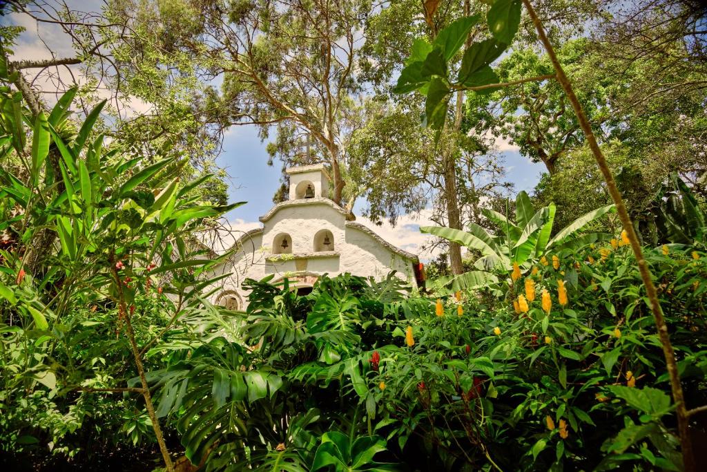 Hacienda Coloma photo 1