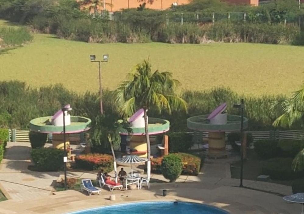 Arriendo Ciudad Flamingo photo 2