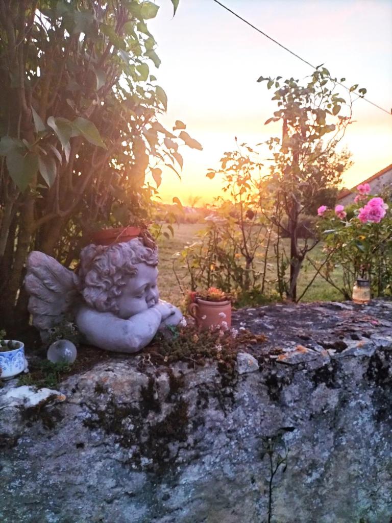Charmante maison, calme et nature à La Roche Posay