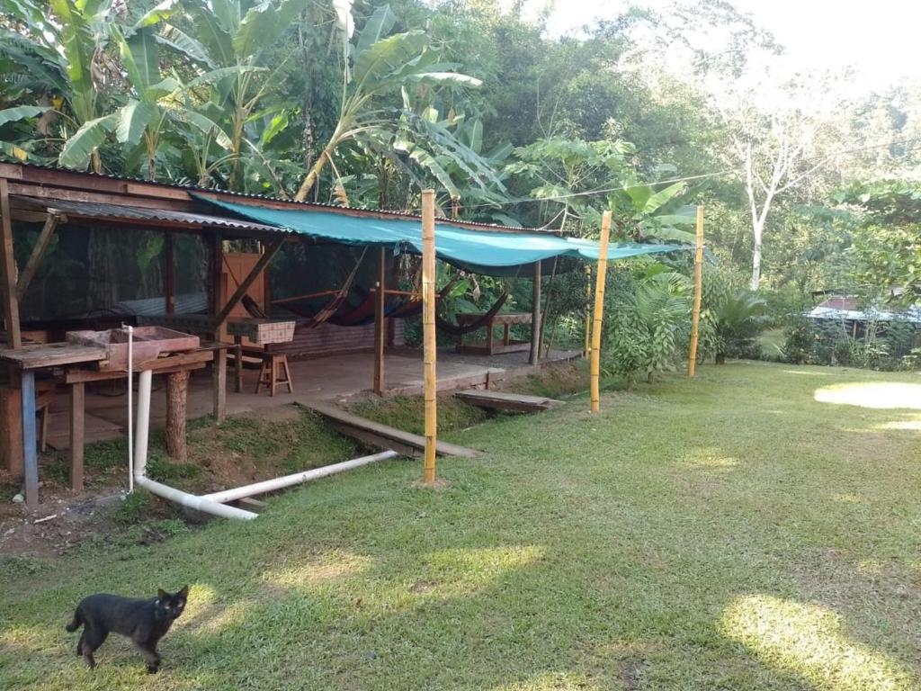 Casa River Camping photo 2
