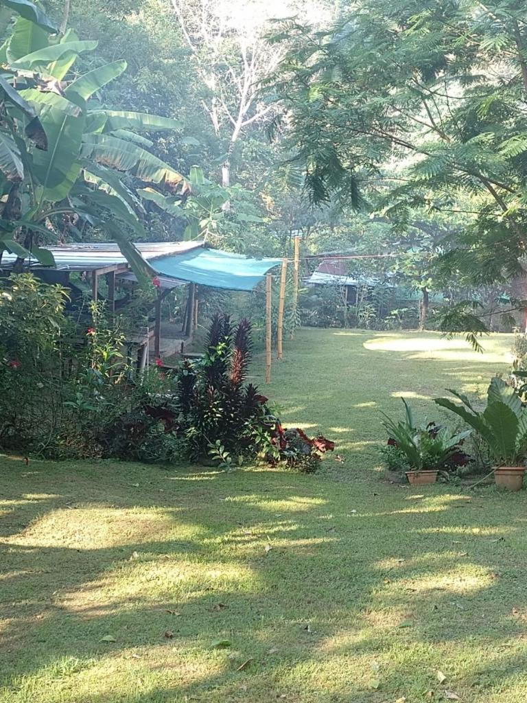 Casa River Camping photo 3