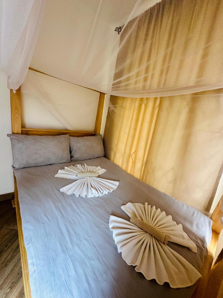 Golden hour tiny house photo 3