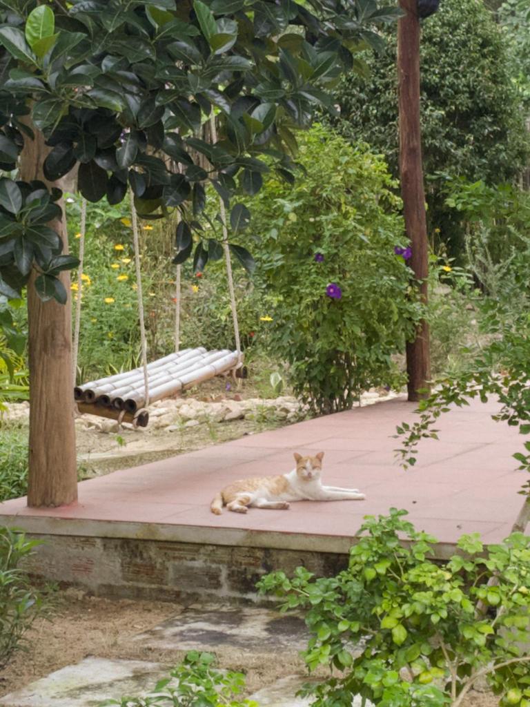 Mango House Retreat Quy Nhon