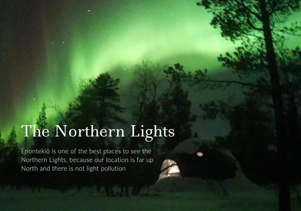 Arctic Nature Experience Glamping photo 4