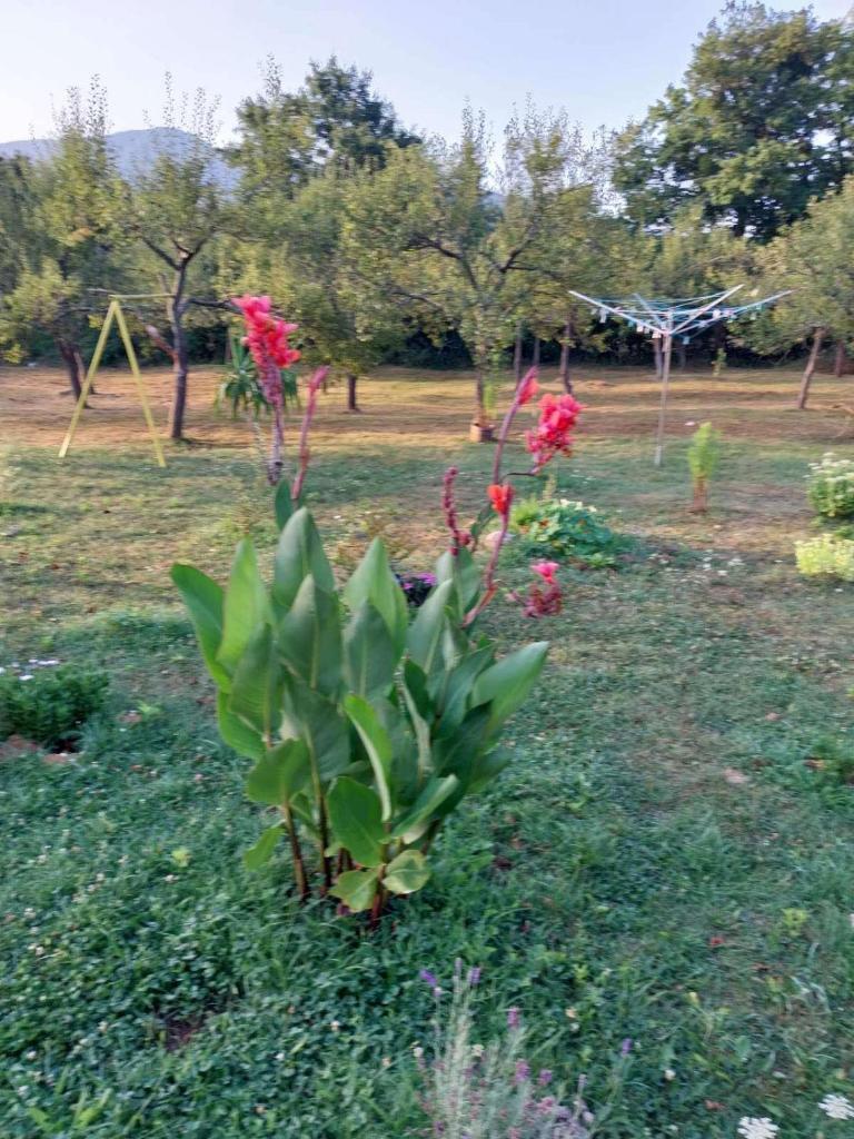 Apartman Lički san photo 3