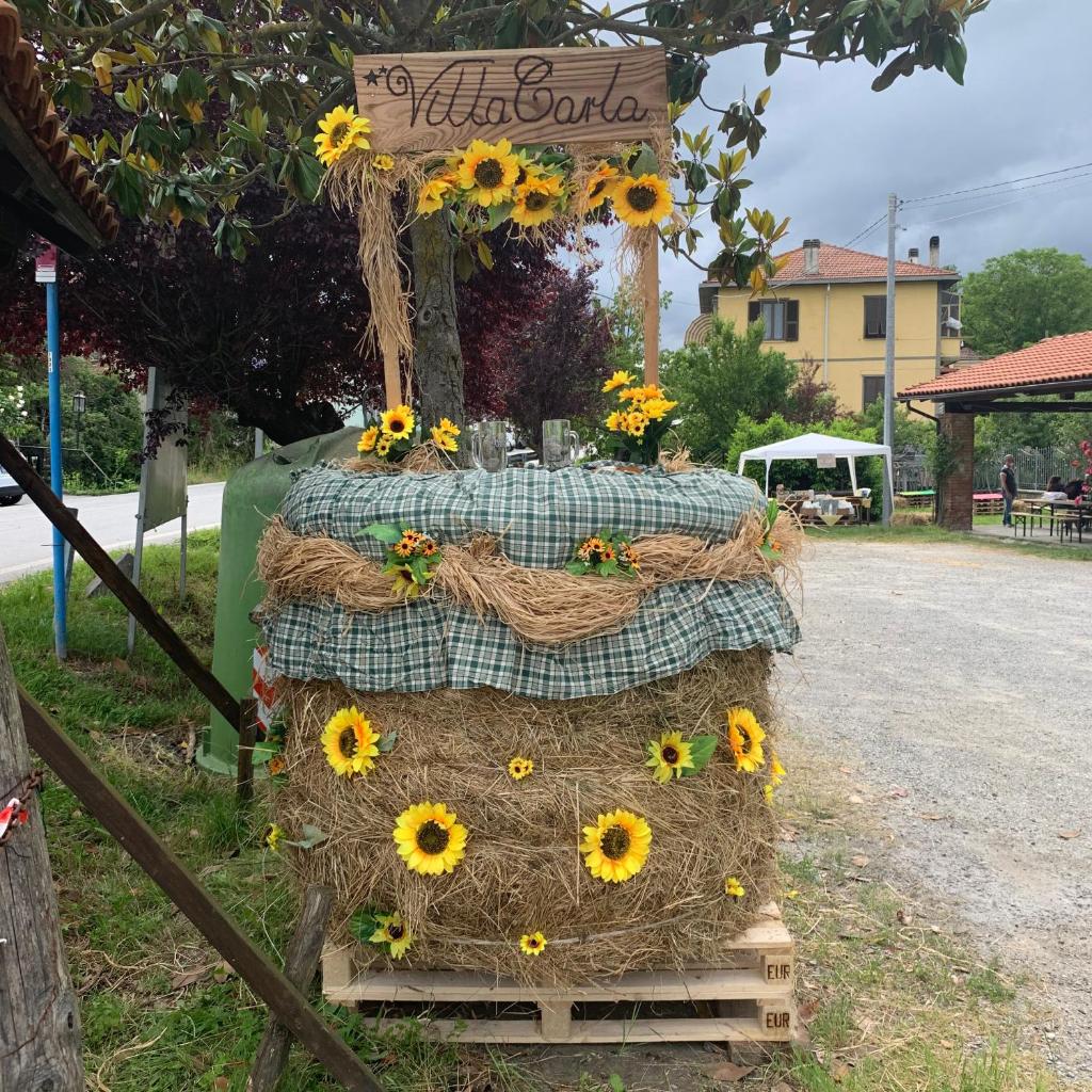 Hotel Villa Carla photo 2