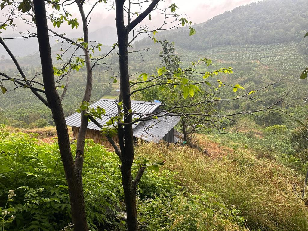 Misty hills farm stay photo 1