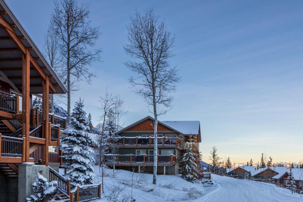 Lush Mountain Accommodations photo 4