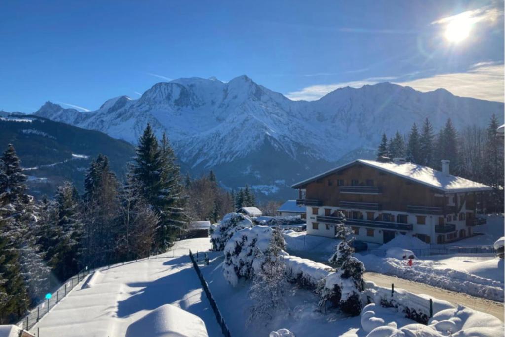 Ski nest - Pool - Mont Blanc view