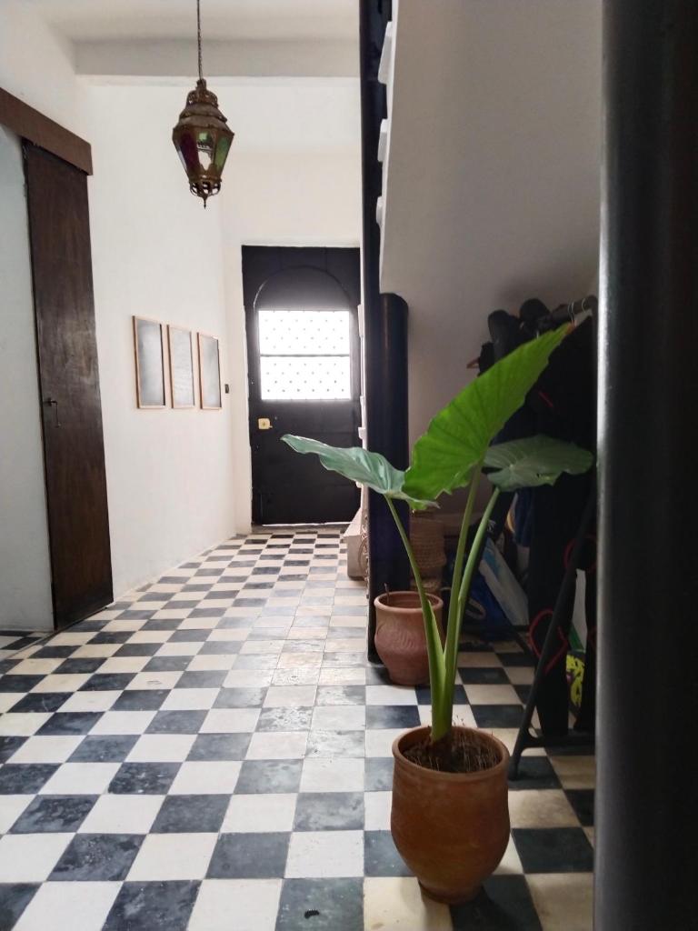 Dar Gara photo 4