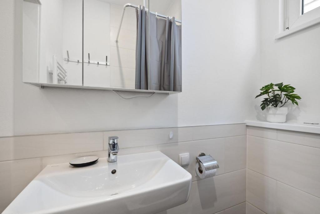 Monteurswohnung in Worms neben Mannheim - apartment for workers photo 2