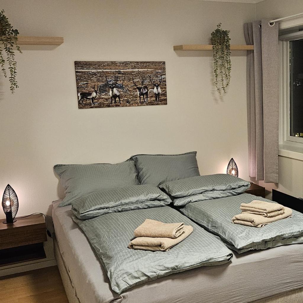 Nice Norwegian 2 bedroom apartment with free parking