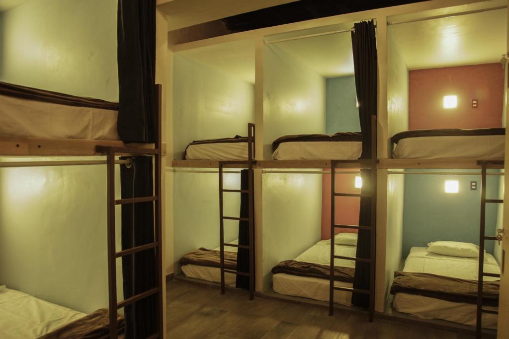 Номер (Односпальная кровать в общем номере для мужчин и женщин), Capsule Hostel
