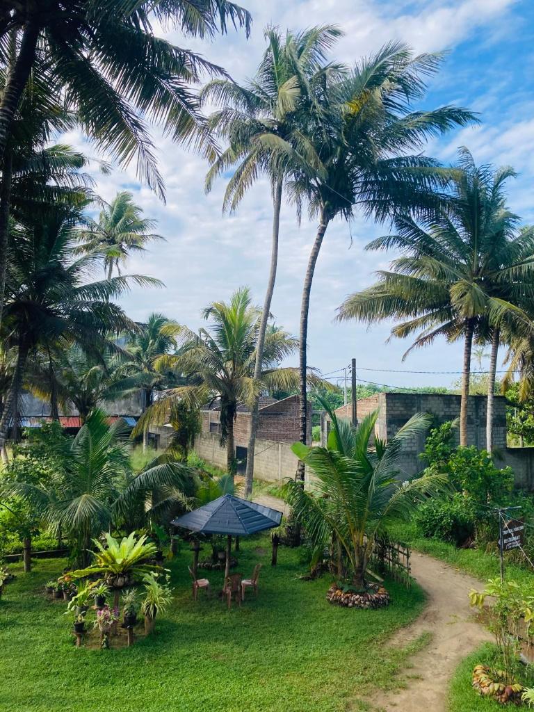 Tropical Point Inn photo 1