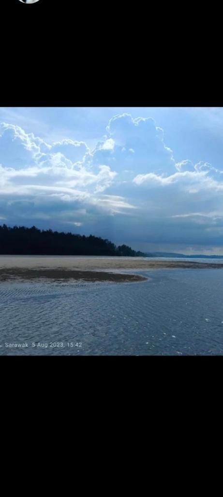 The Mangrove photo 4