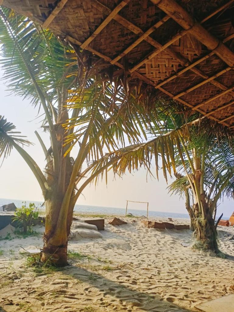 Havana Beach House