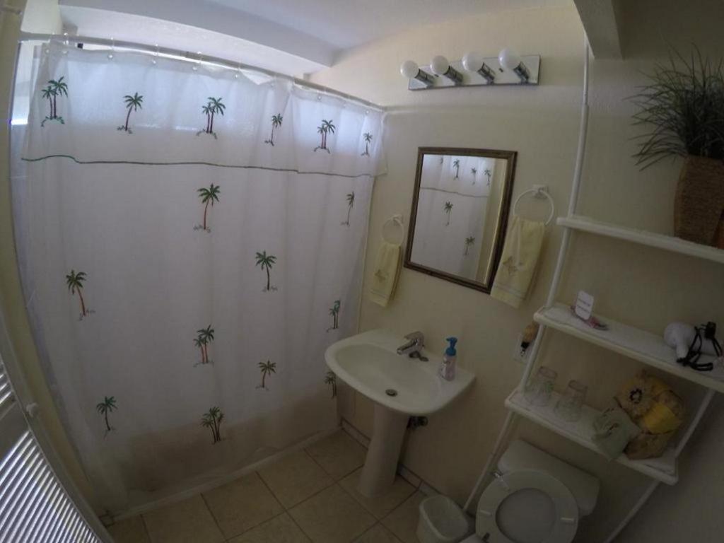 Hale-hoola B & B image