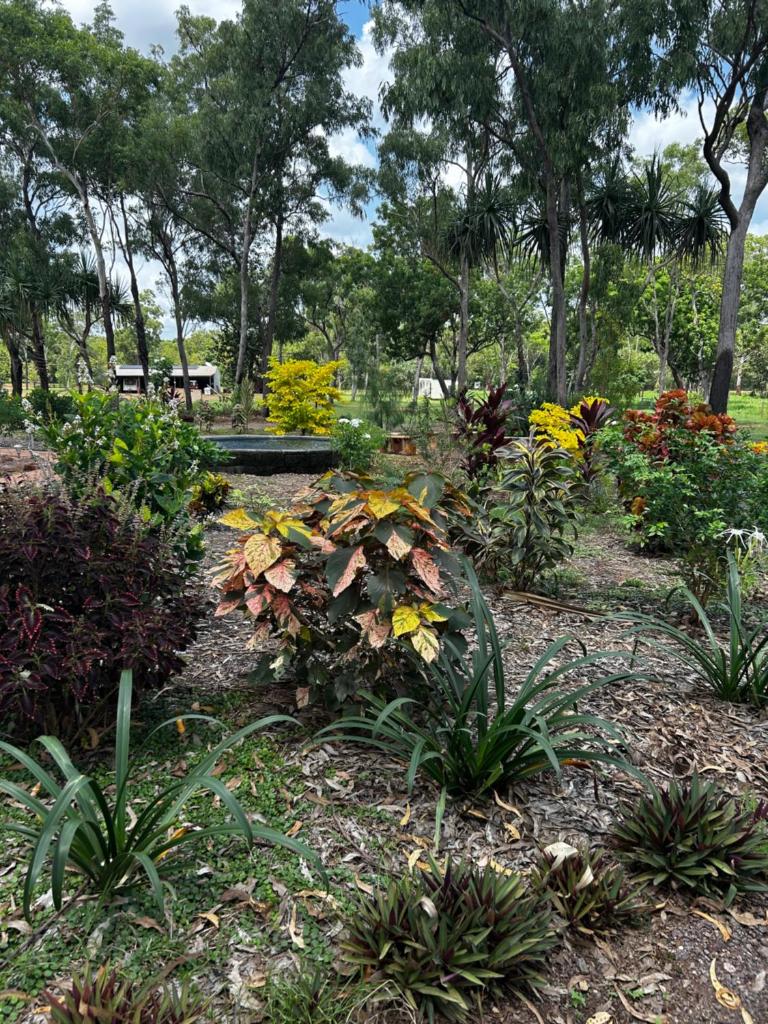 Litchfield Tropical Stay photo 1