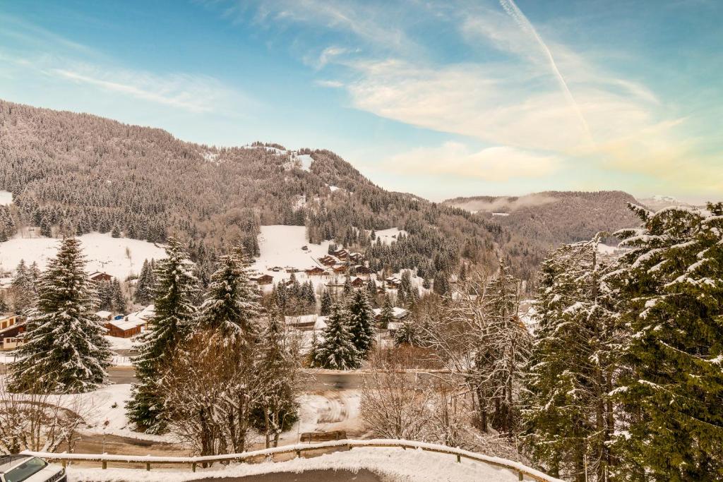 Appt Cosy vue montagne La Clusaz photo 3