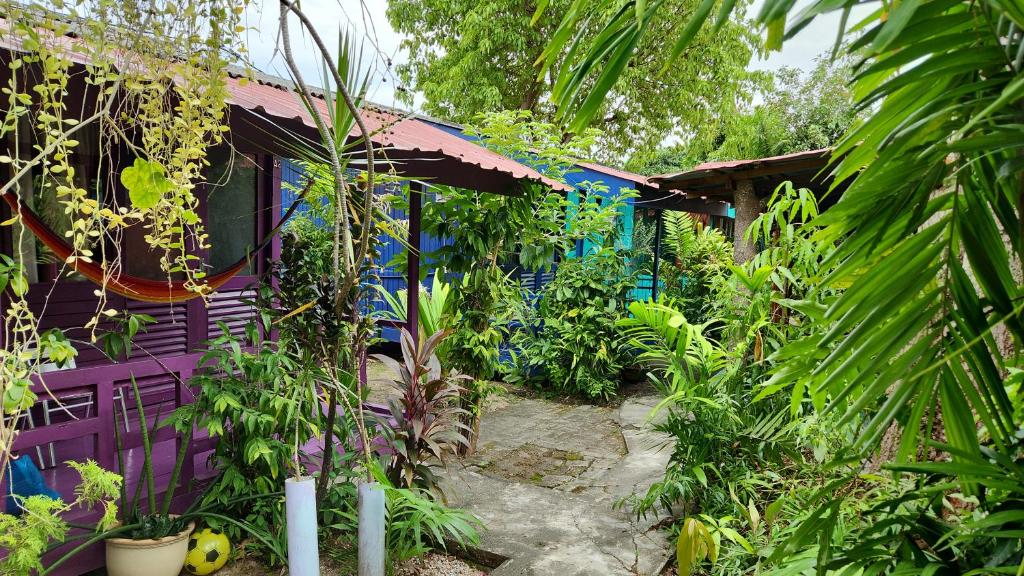 Gecko Guesthouse photo 1