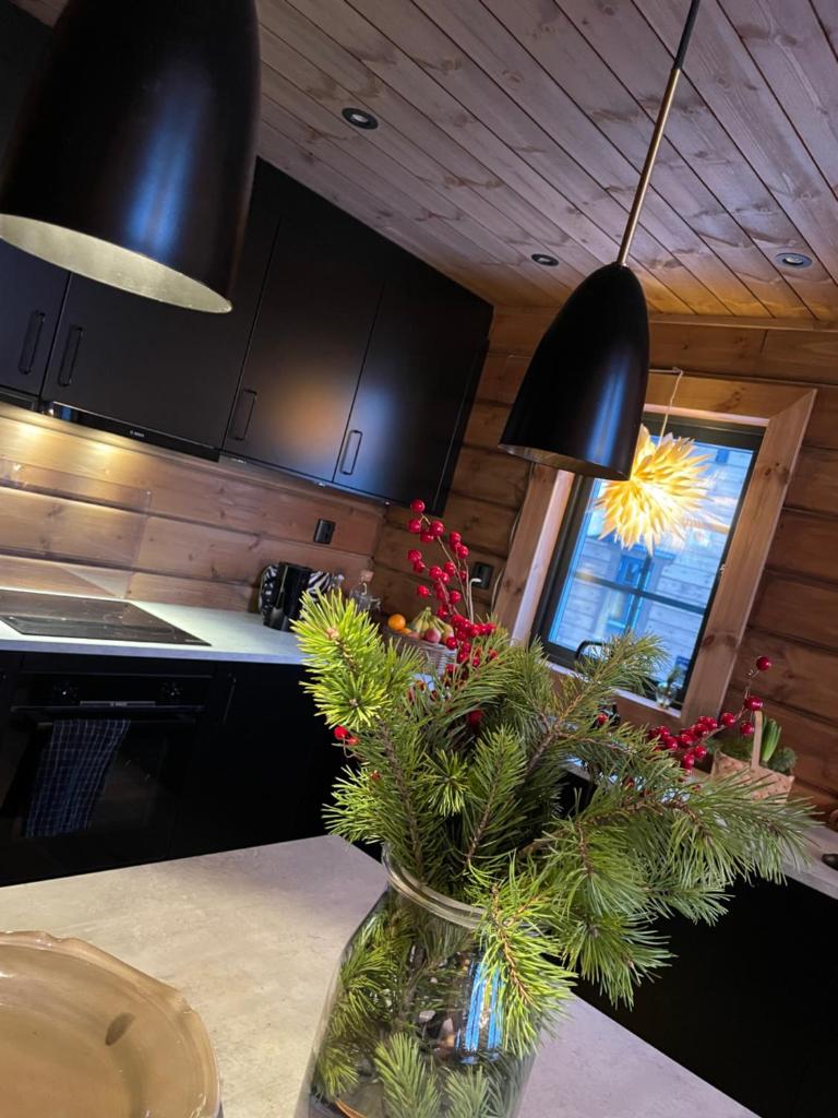 Idre Mountain Lodges with 11 beds photo 4