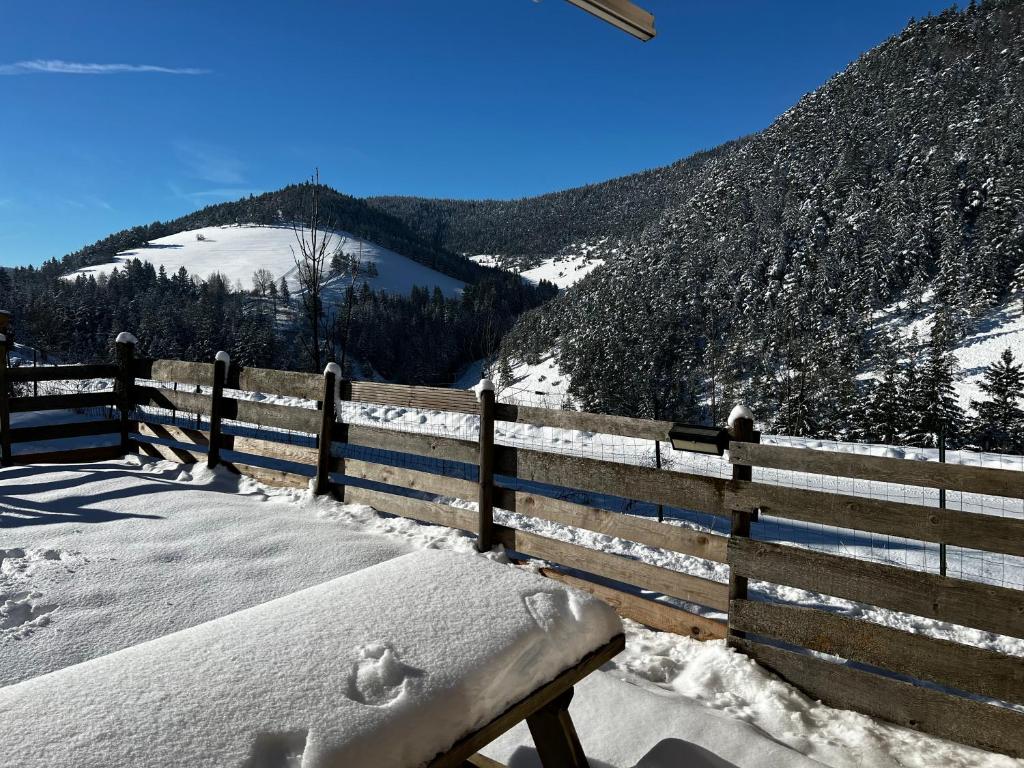 Chalet de Montagne Villard de Lans photo 1