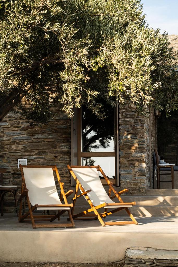 Avdos' olive house - land tales photo 3