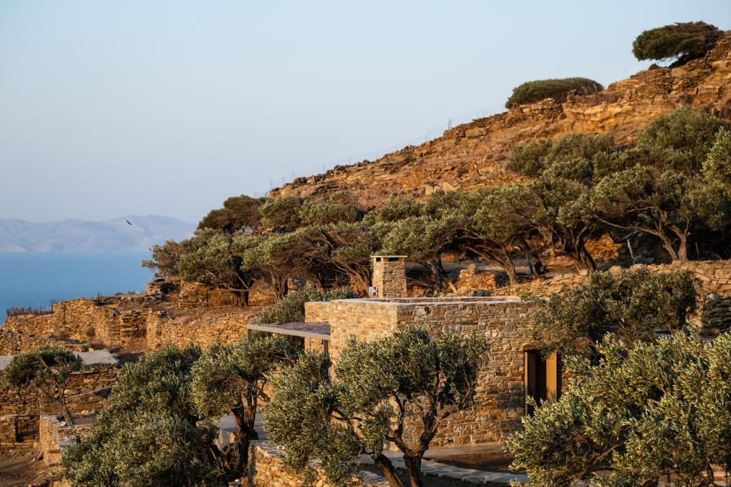 Avdos' olive house - land tales photo 1