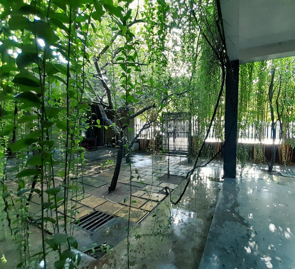 Isi Arana Eco Villa photo 1