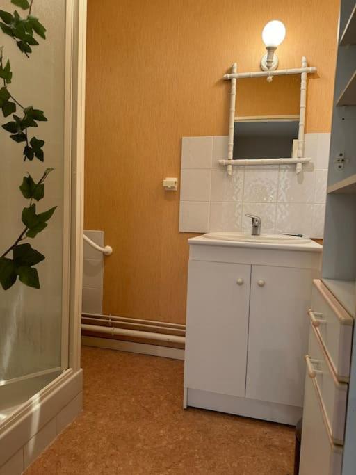 Appartement T3 bord de la Vienne photo 2
