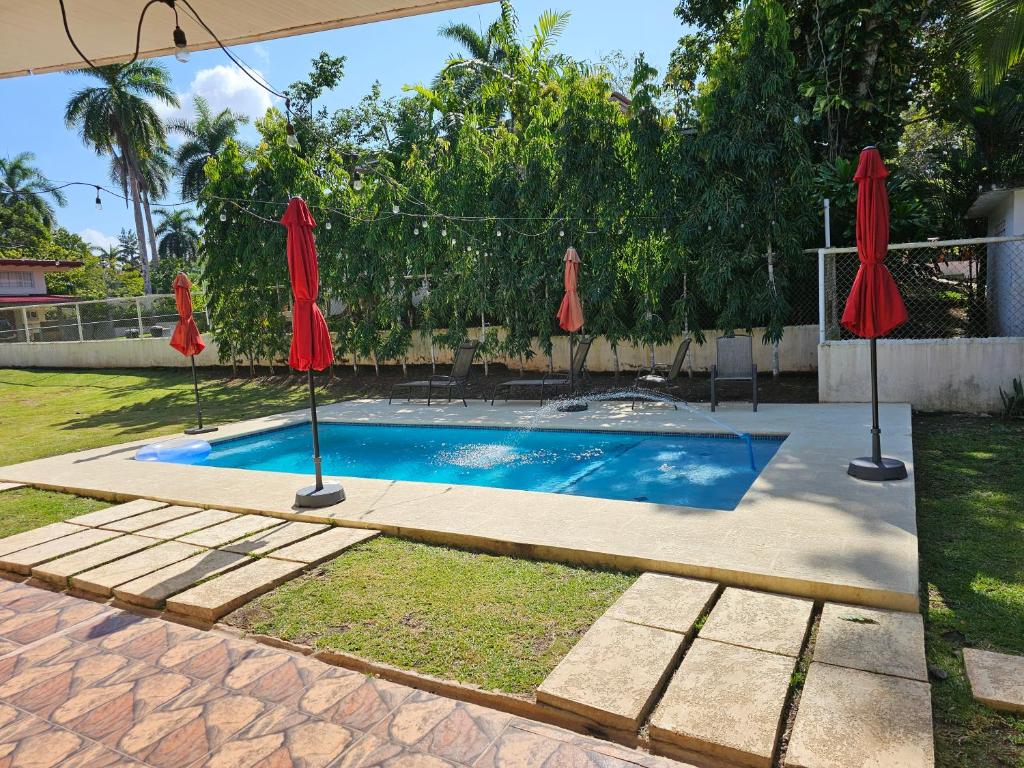 oasis with pool near Panama Canal photo 4
