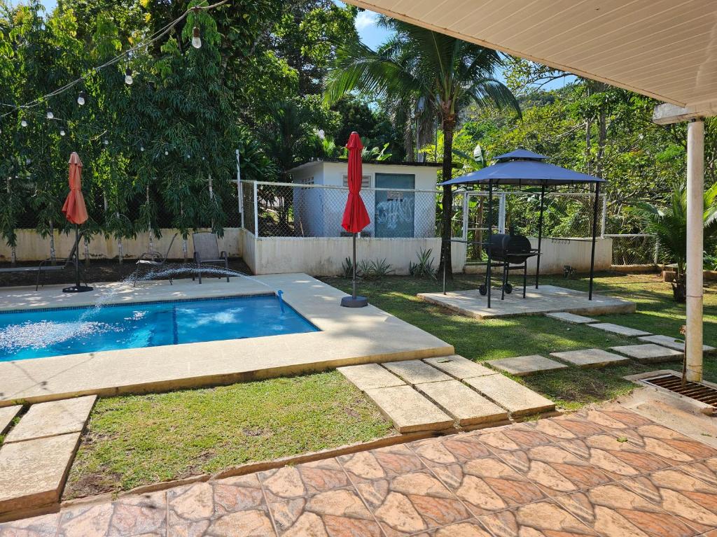 oasis with pool near Panama Canal photo 2