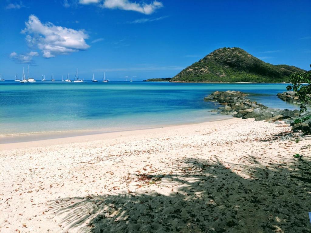 True North - Waterfront Villa, Jolly Harbour