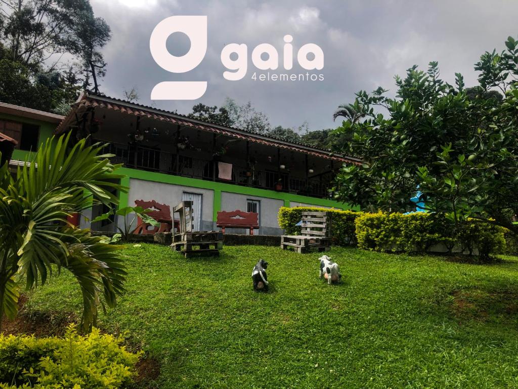 Gaia 4 Elemento
