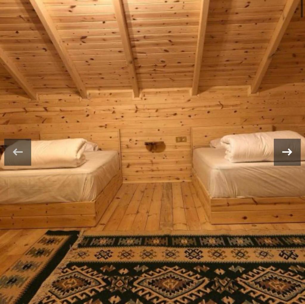 hostel viking photo 2