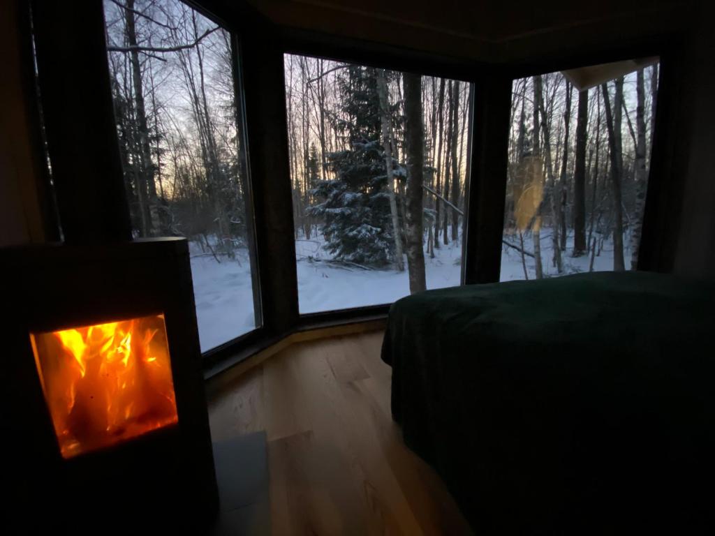 Paunküla Nature Resort (forest villa) photo 3