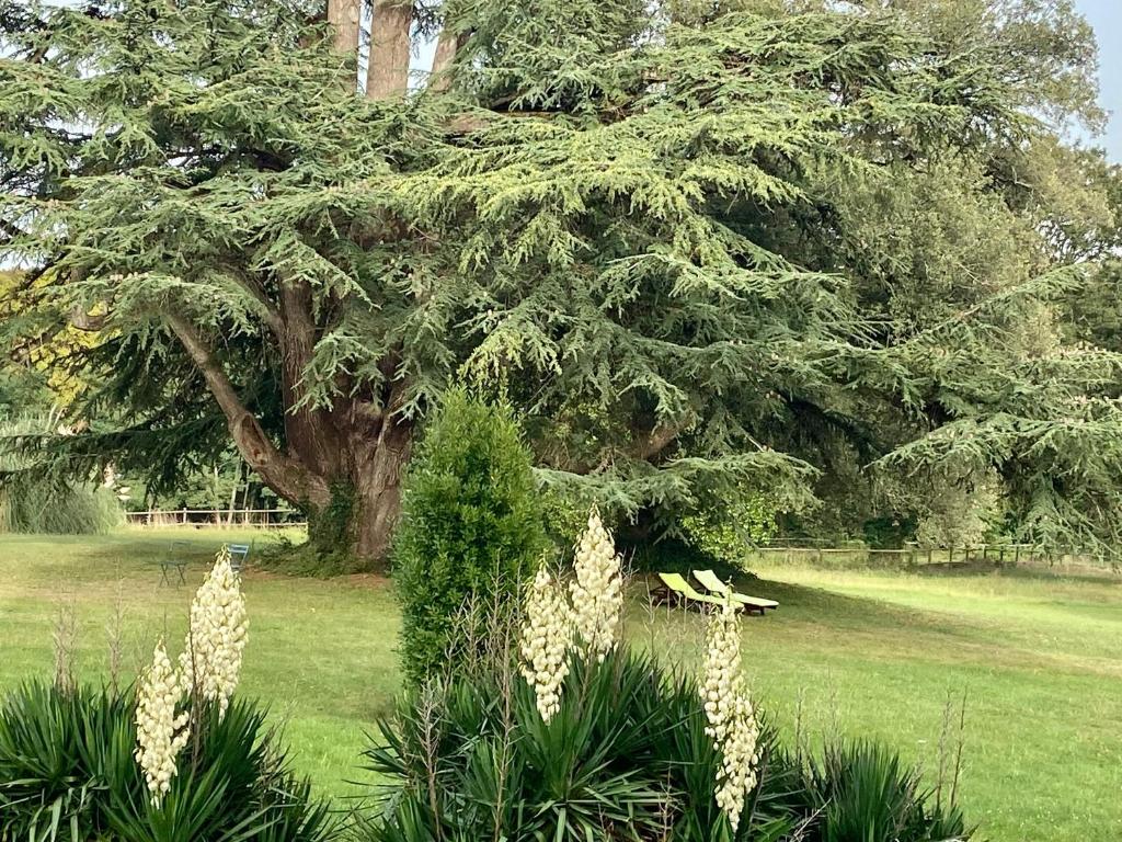 Château La Bainerie photo 1