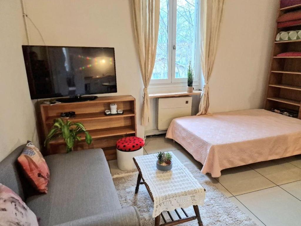 Apartment close to Lyon and Parc de Parilly photo 2