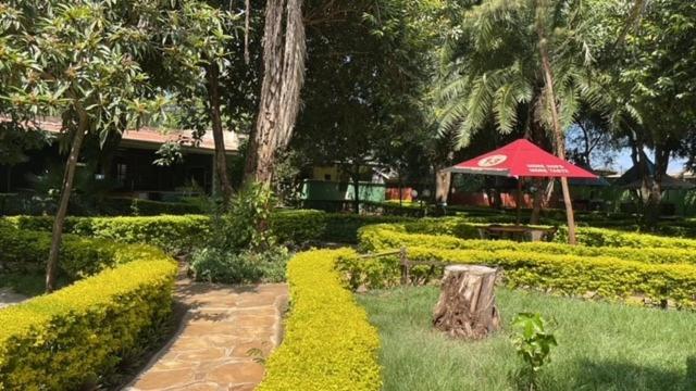 Jungle Green Resort, Kiutine photo 3