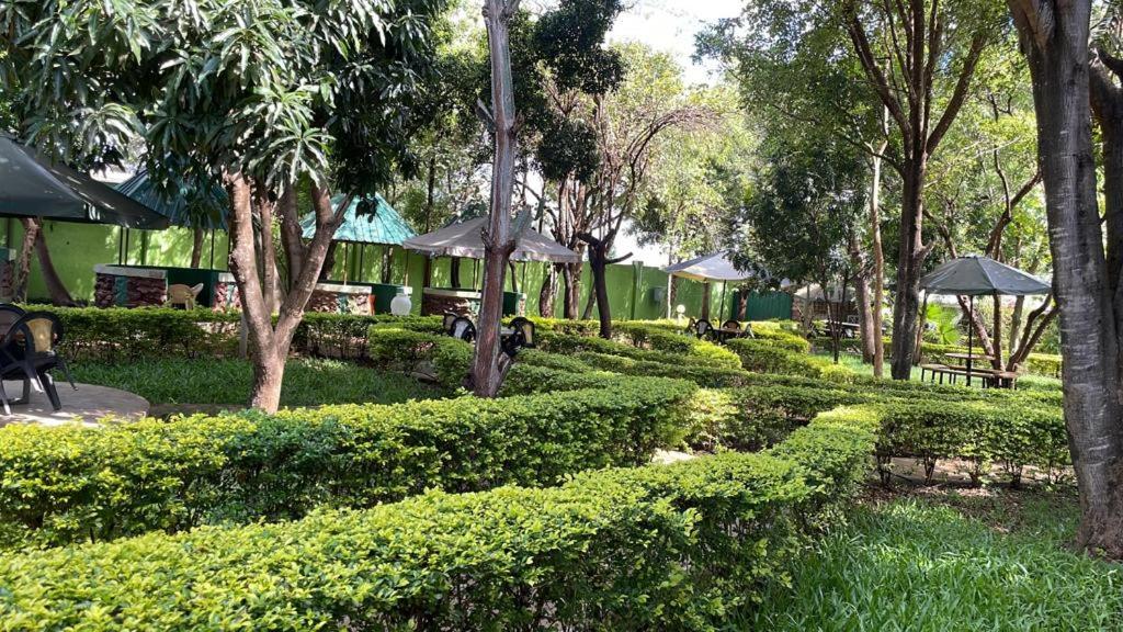 Jungle Green Resort, Kiutine photo 2