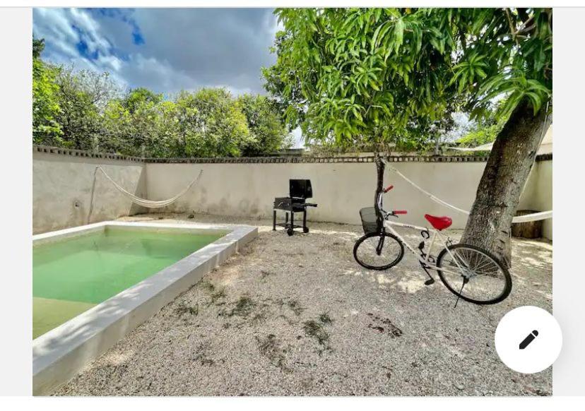 Casa Cero - Mérida Centro - Cozy, Private Pool and Garden photo 2