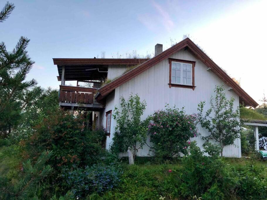 House by the Sea photo 2