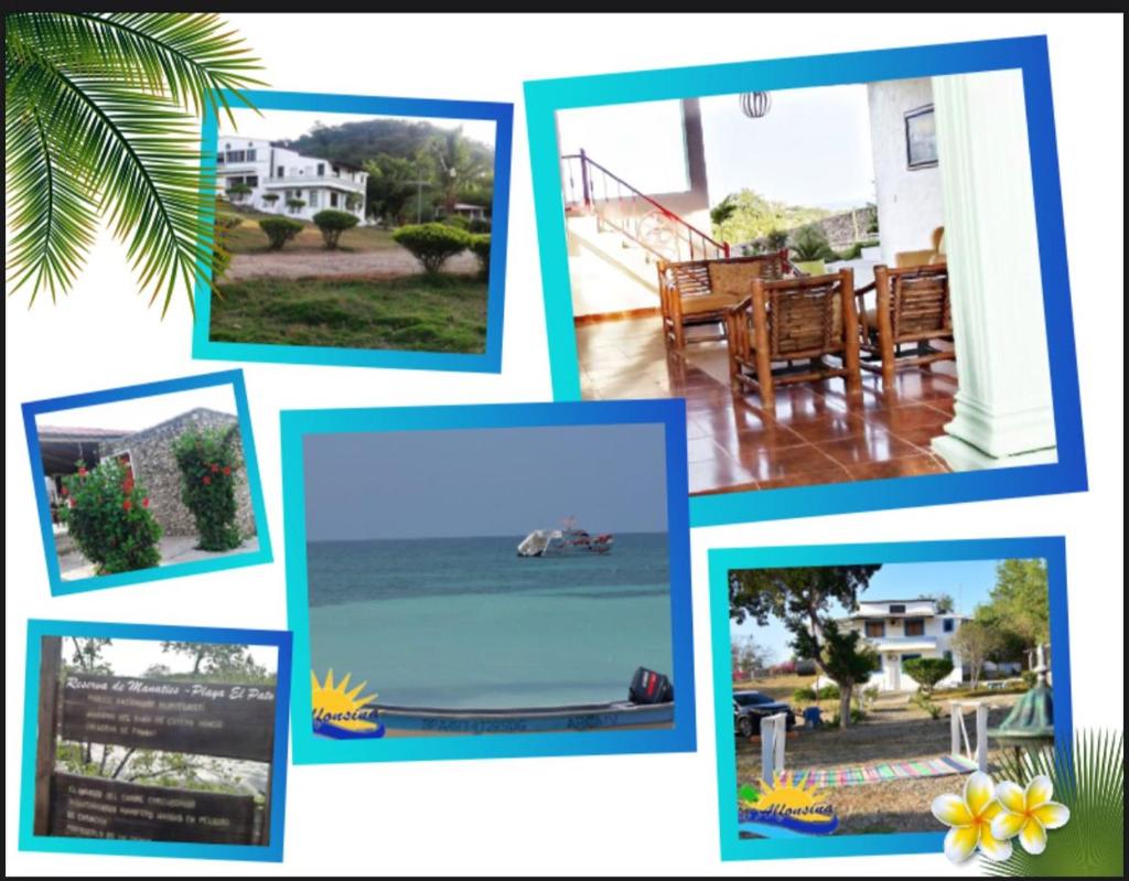 Villa Alfonsina photo 3