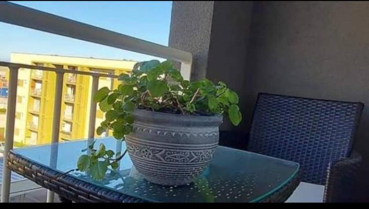 Departamento Sor Vicenta photo 2