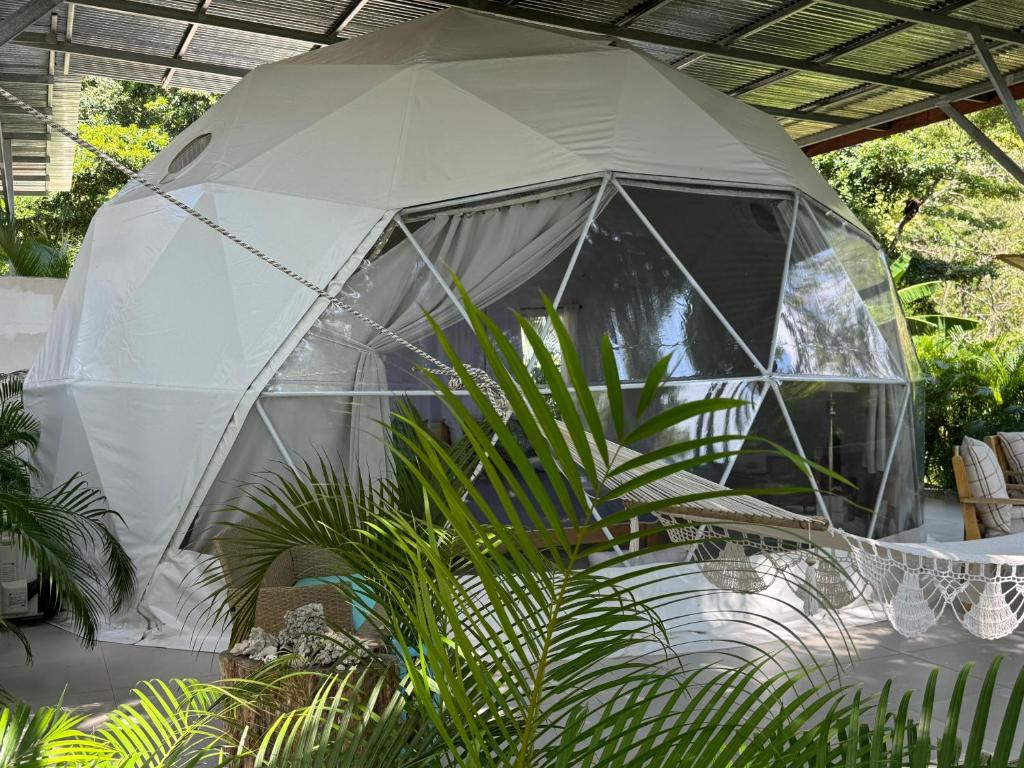 Amaj Eco Lodge photo 3