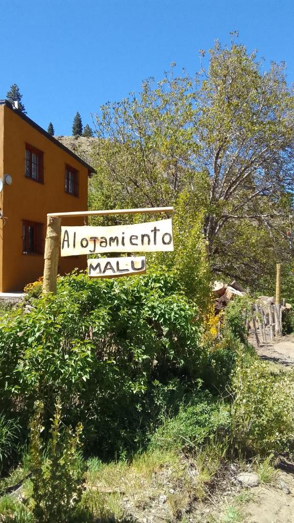 MALU photo 1
