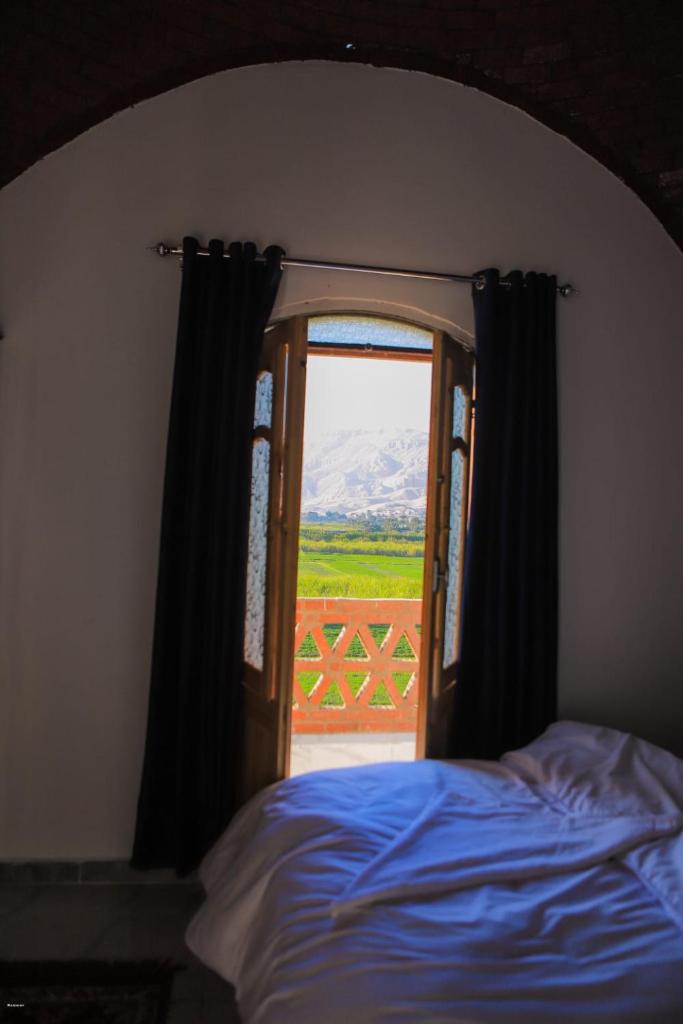 Desert blue hoste photo 2