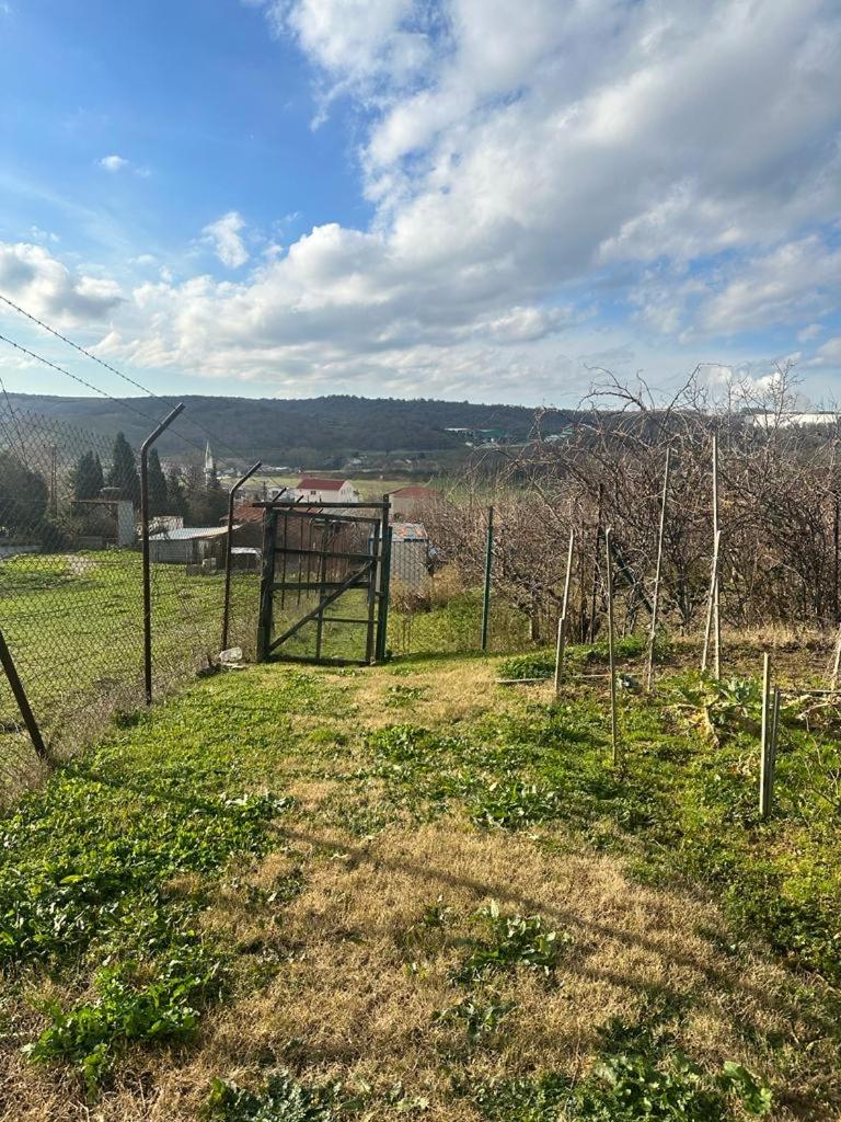 Dgn dağ evi bungalow photo 4